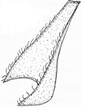 Partial	Sheath